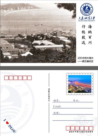 档案查阅体验