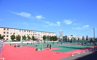 交流米兰app官方端入口新手怎么玩