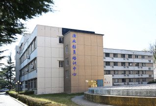 本页围绕「米兰app官方端入口新手怎